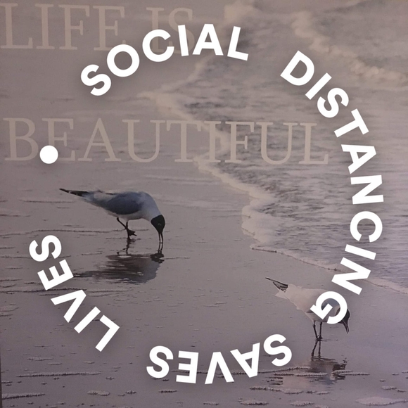 Meet your Posher, Maria - Picture 1 of 1